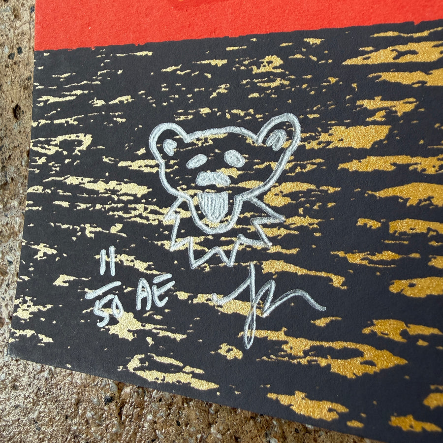 Fare Thee Well - Santa Clara 2015 (Doodled!)