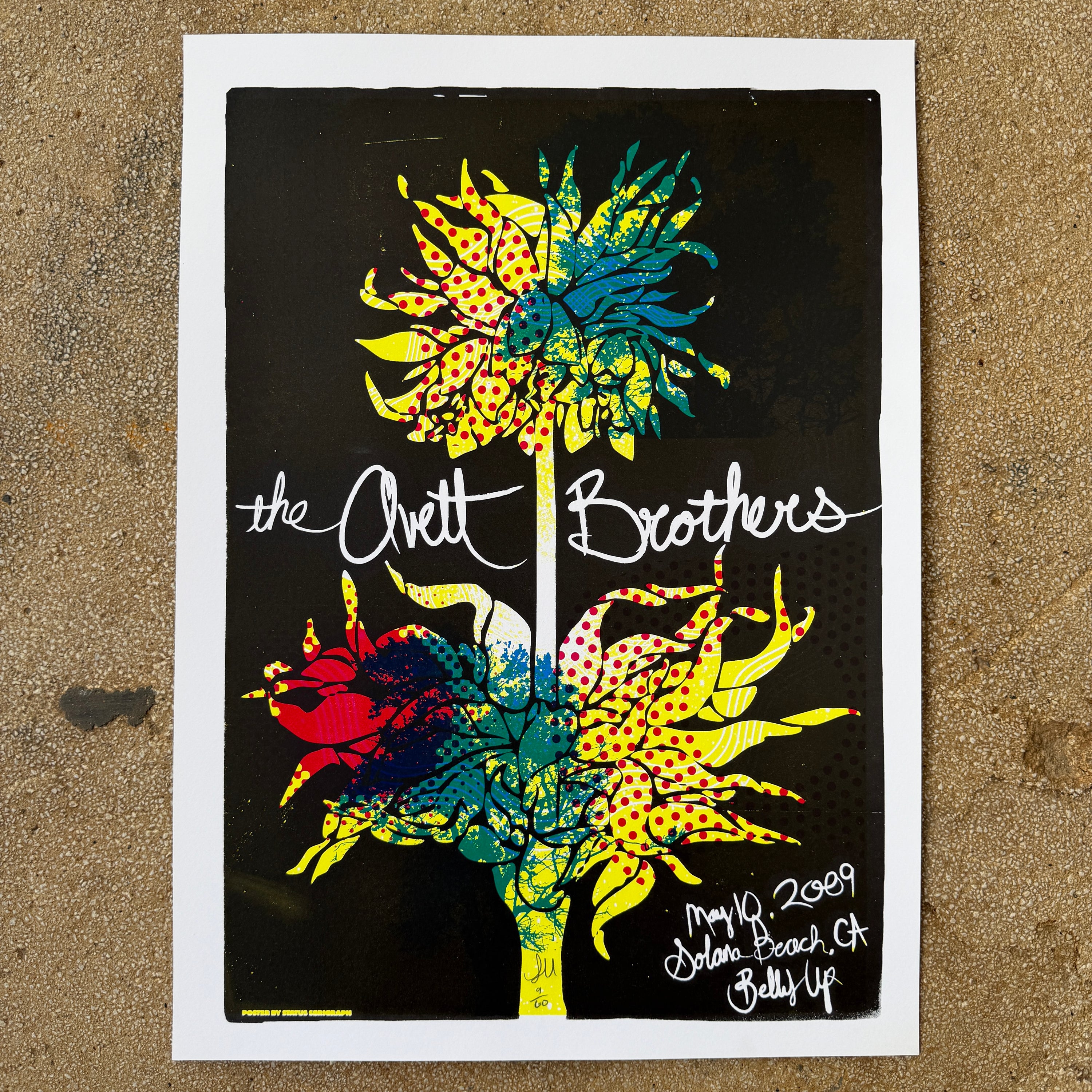 The Avett Brothers - Solana Beach 2009