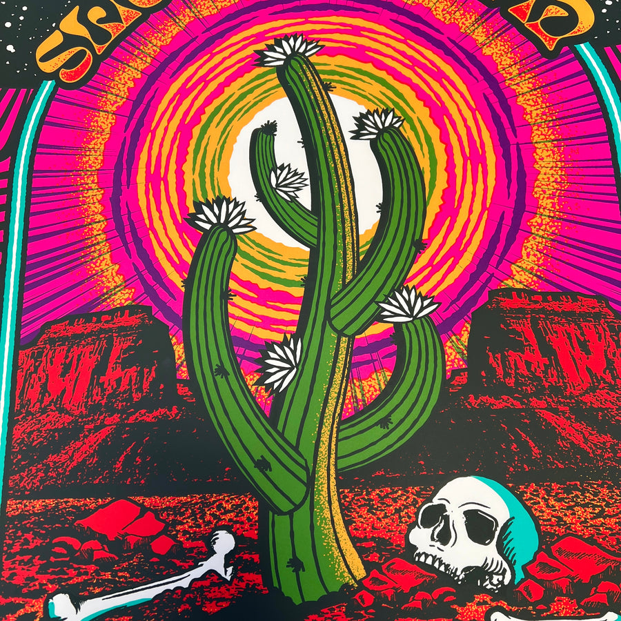 Slightly Stoopid - Phoenix, AZ