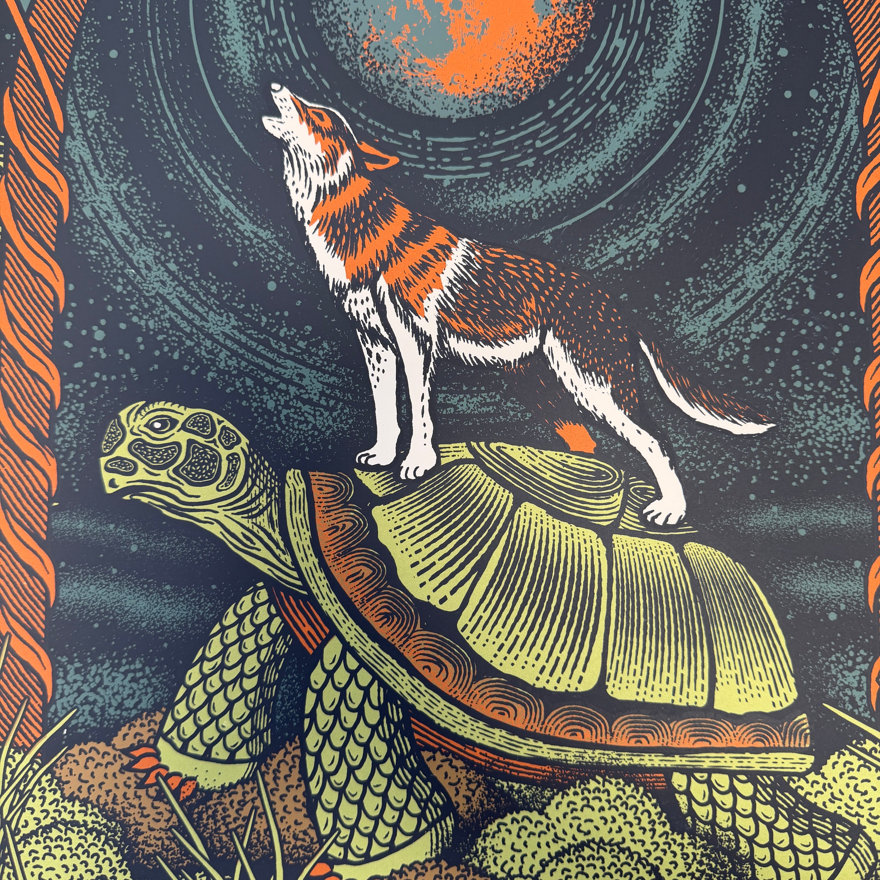 Terrapin Roadshow 2026
