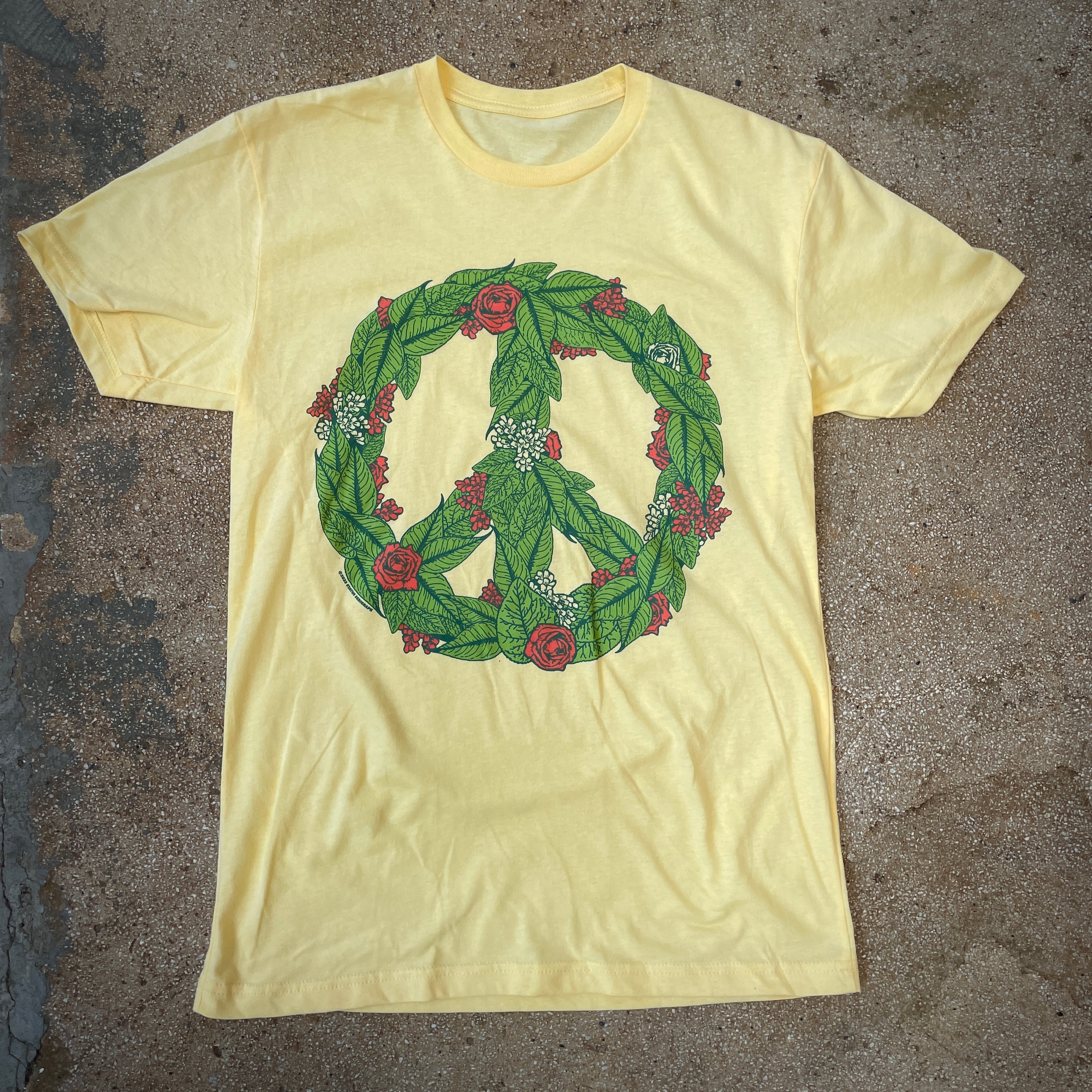 Plant Seeds of Peace Tee