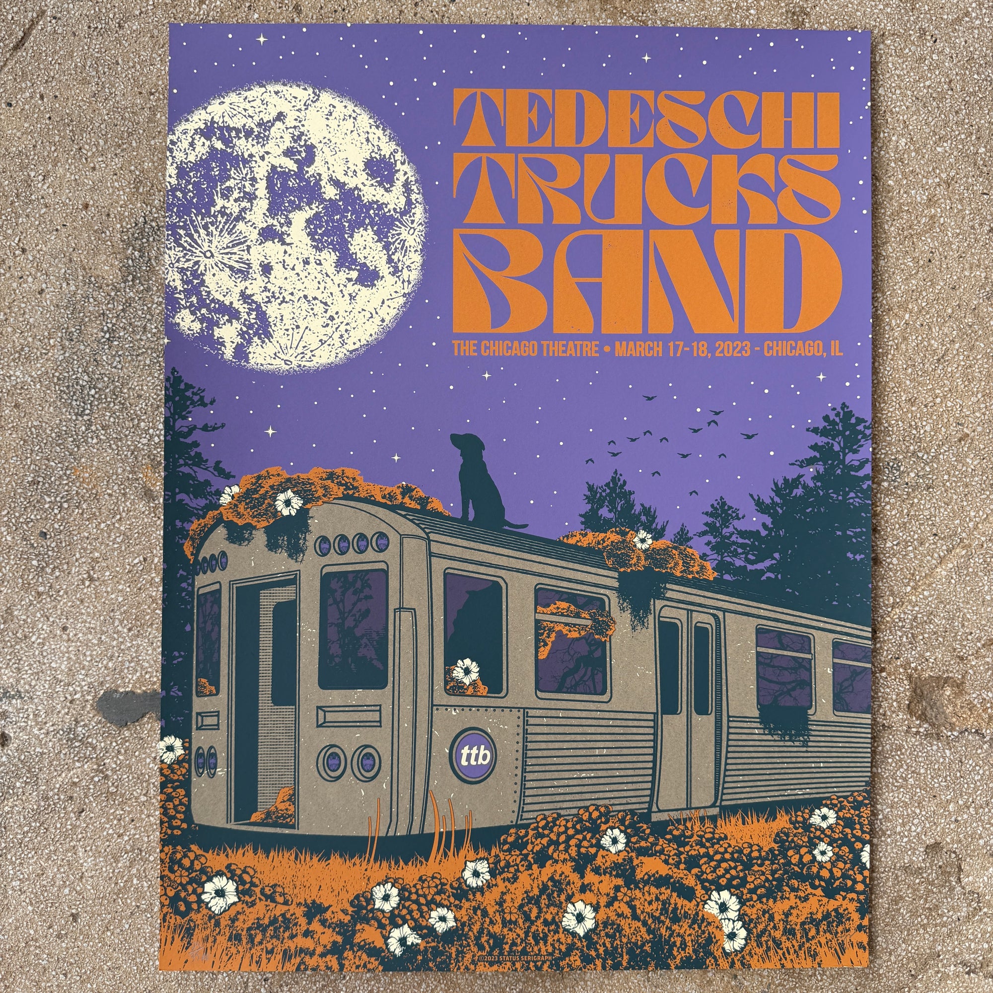 Tedeschi Trucks Band - Chicago 2023 (Scratch & Dent)