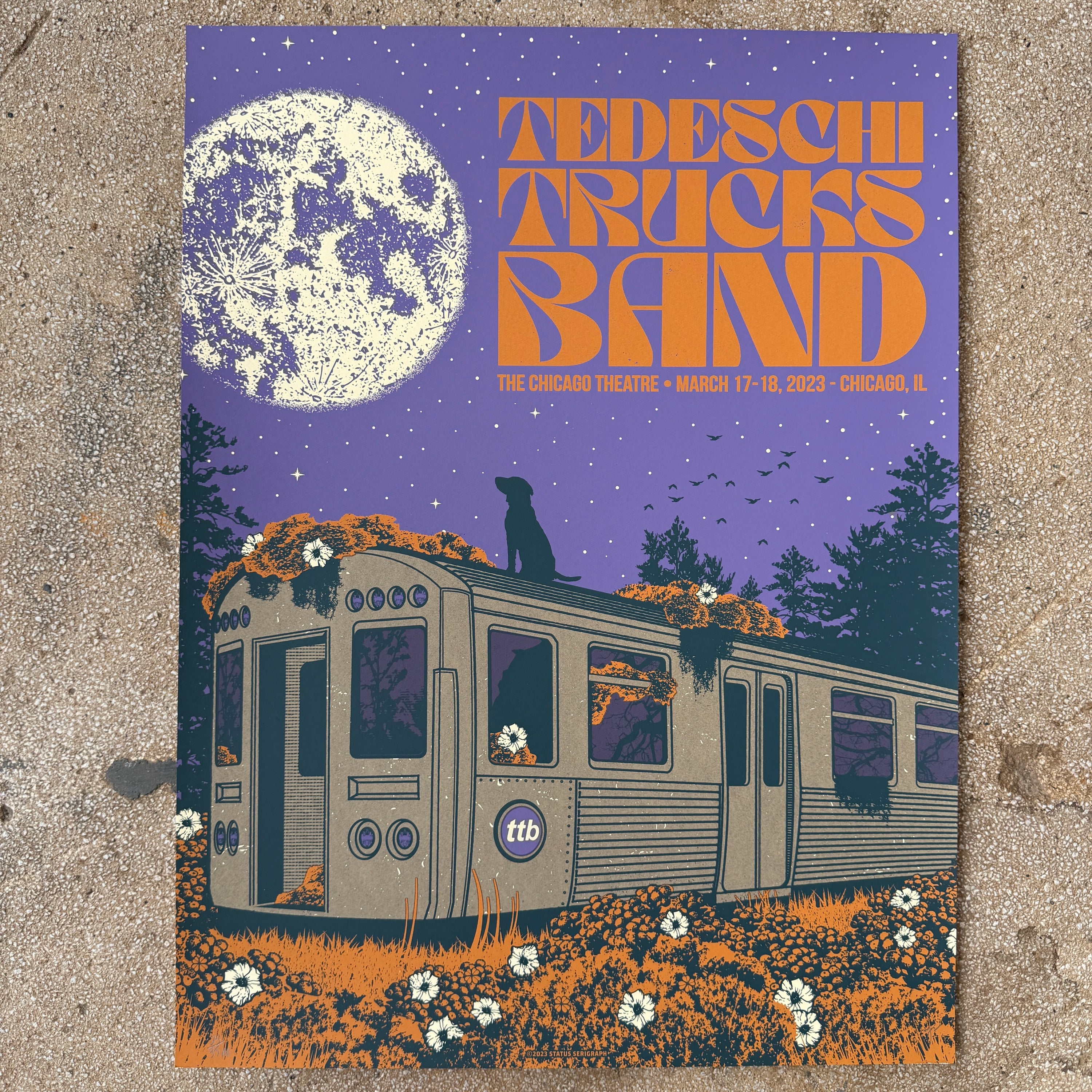 Tedeschi Trucks Band - Chicago 2023 (Scratch & Dent)