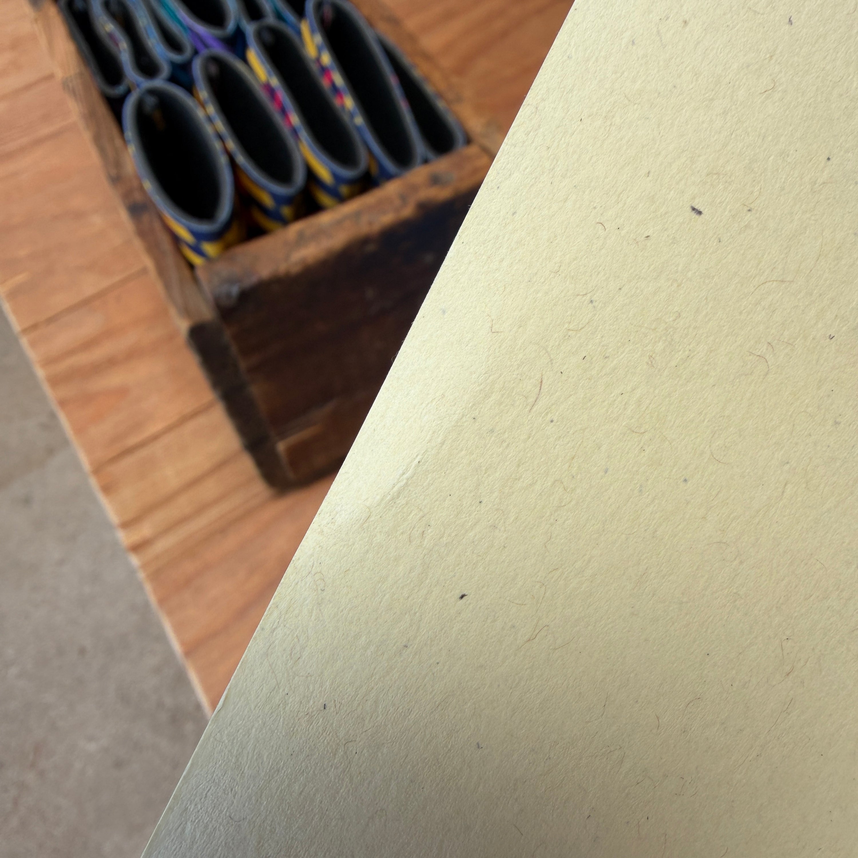 Widespread Panic - St. Augustine 2024 (Scratch N' Dent)