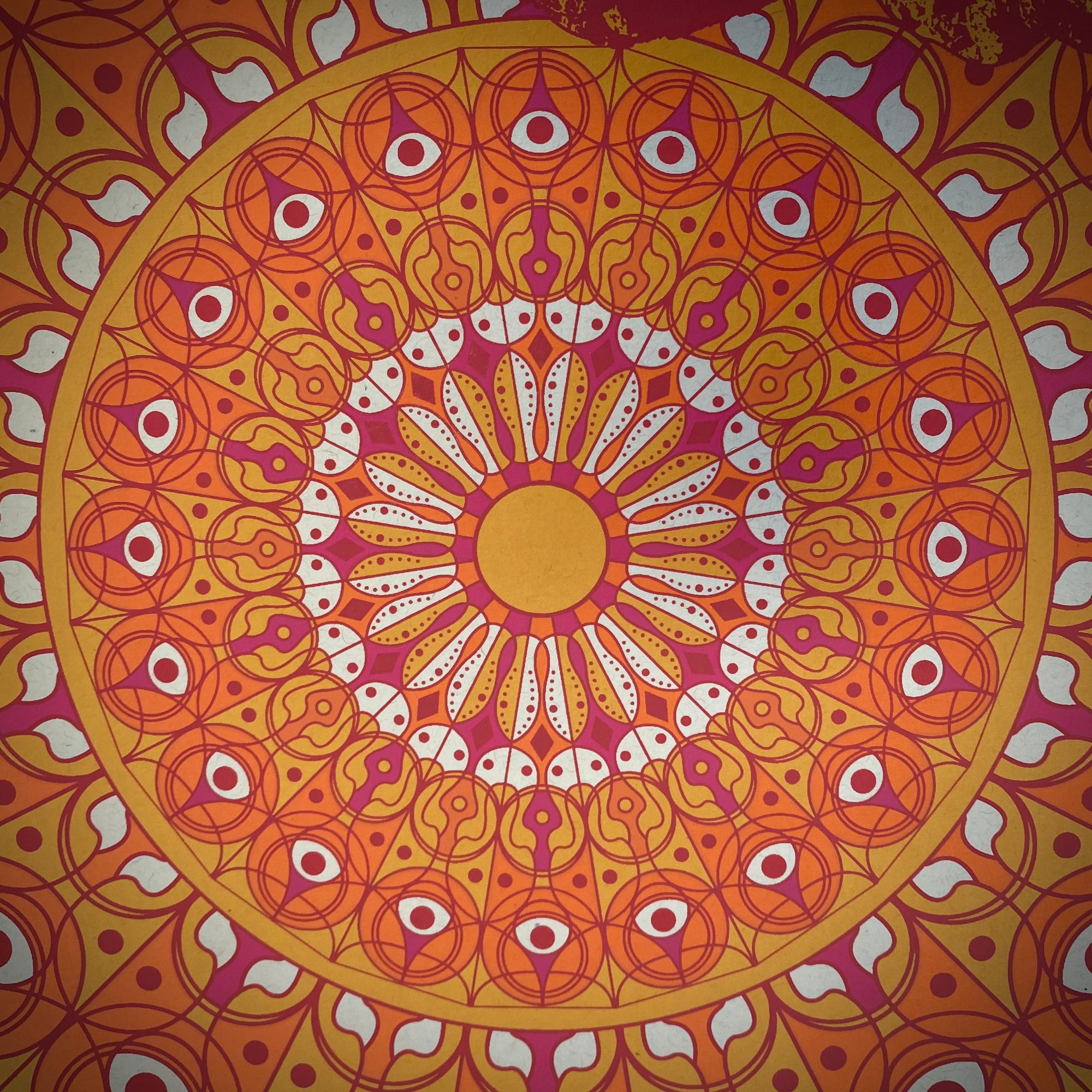 Bob Weir & Wolf Bros - NYE 2020