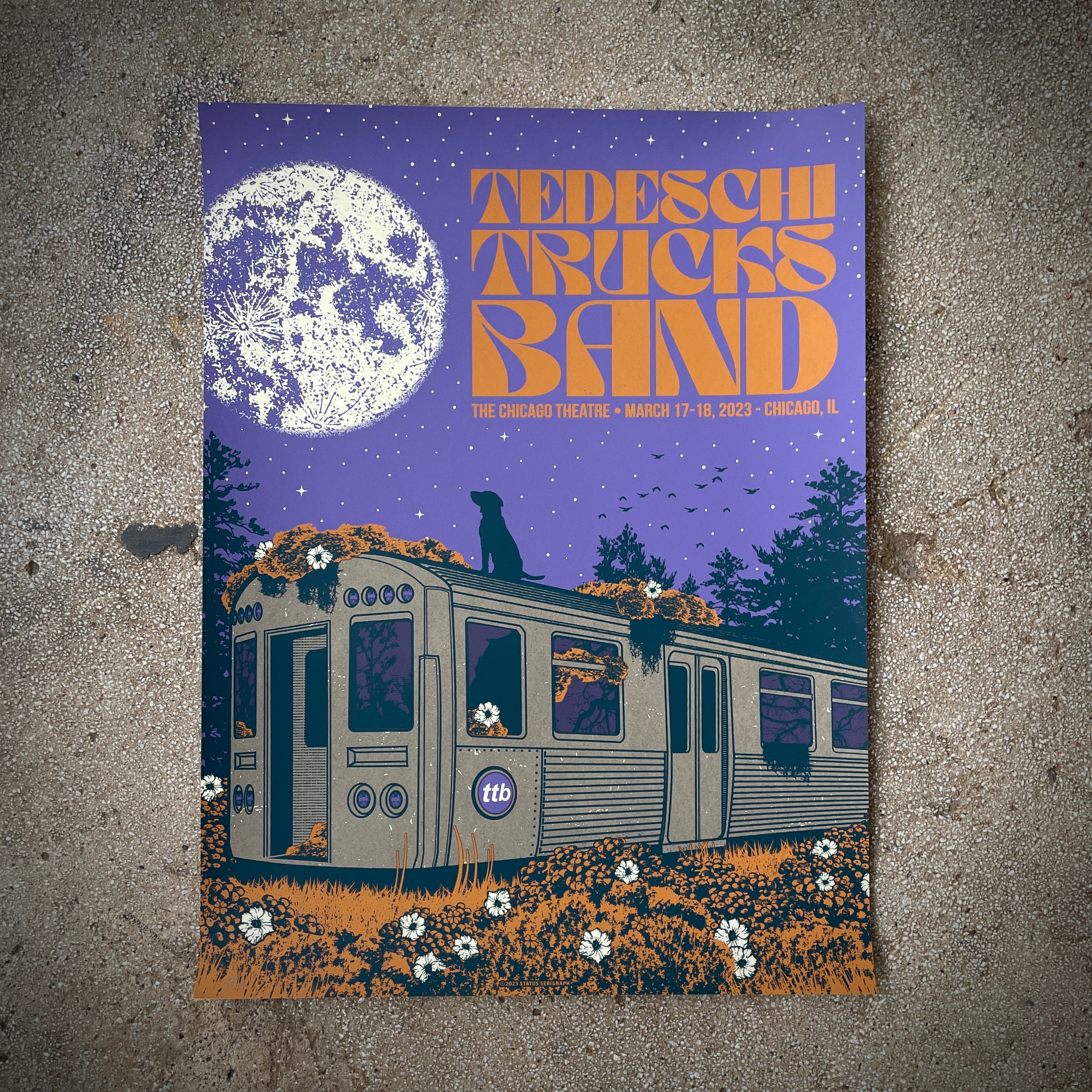 Tedeschi Trucks Band - Chicago 2023 (Purple)