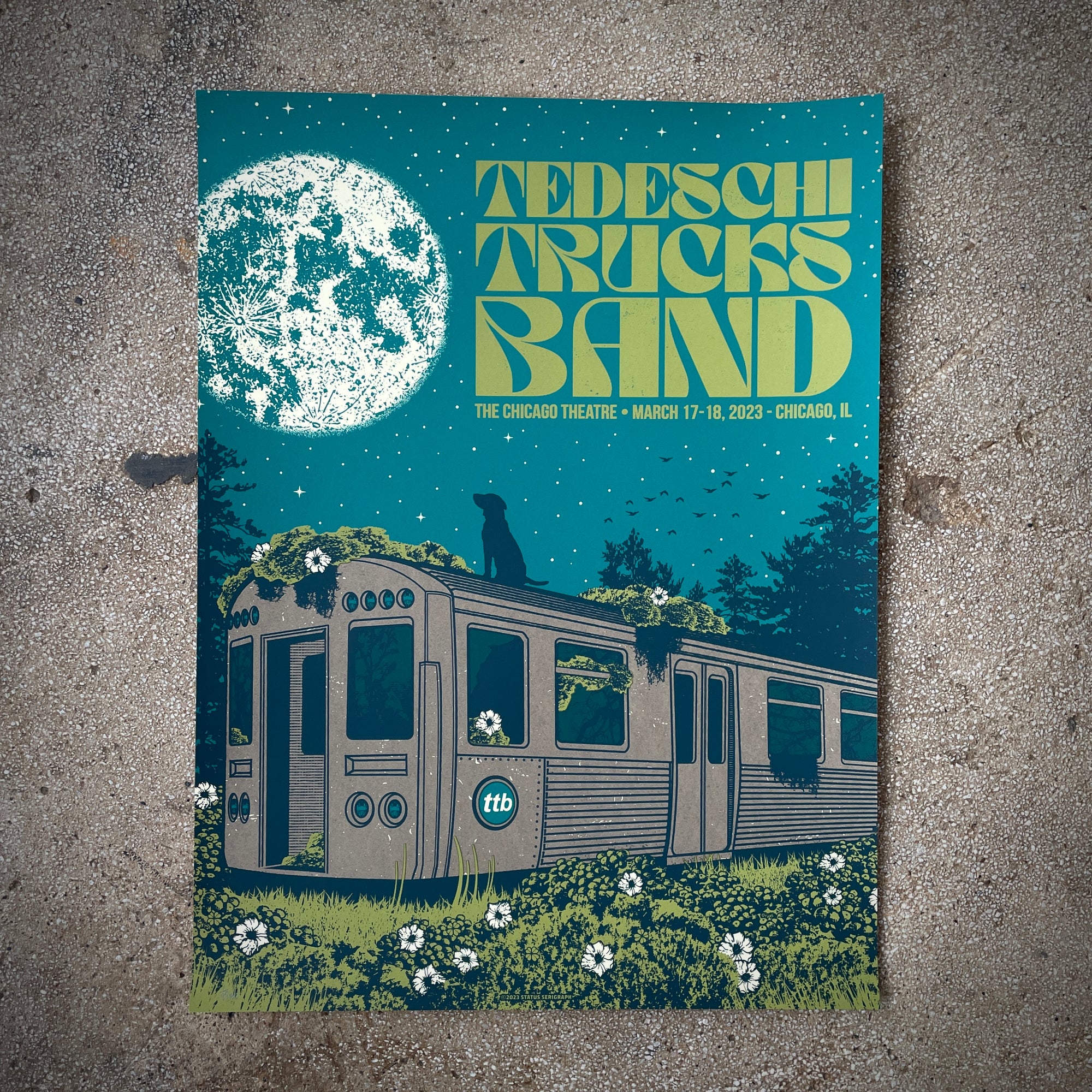 Tedeschi Trucks Band - Chicago 2023 (Green)