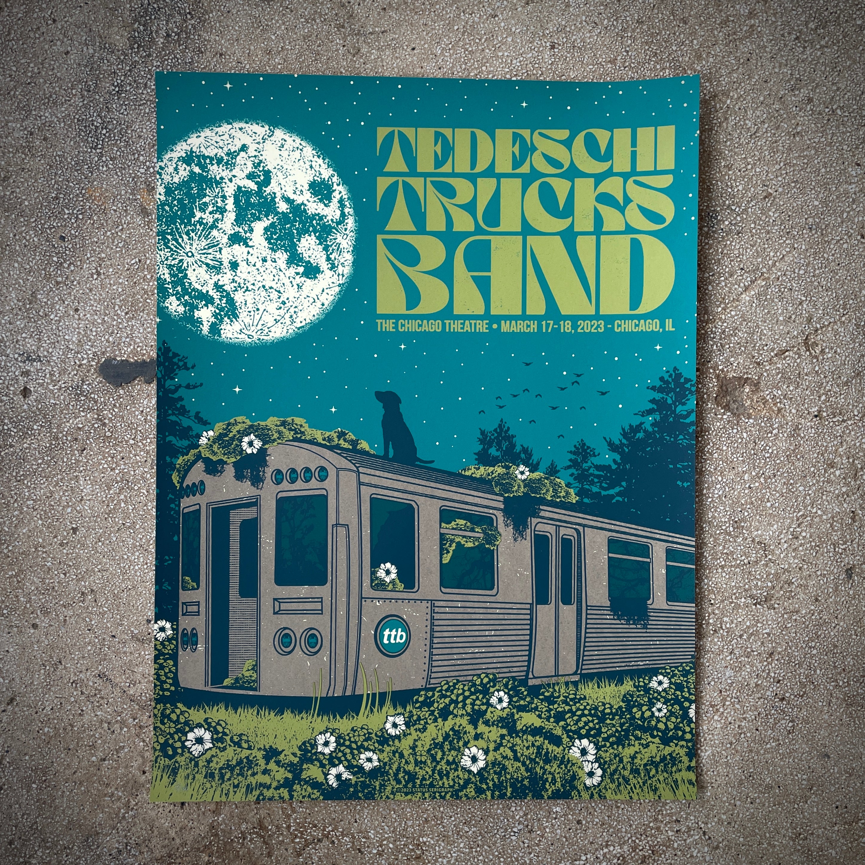 Tedeschi Trucks Band - Chicago 2023 (Green)