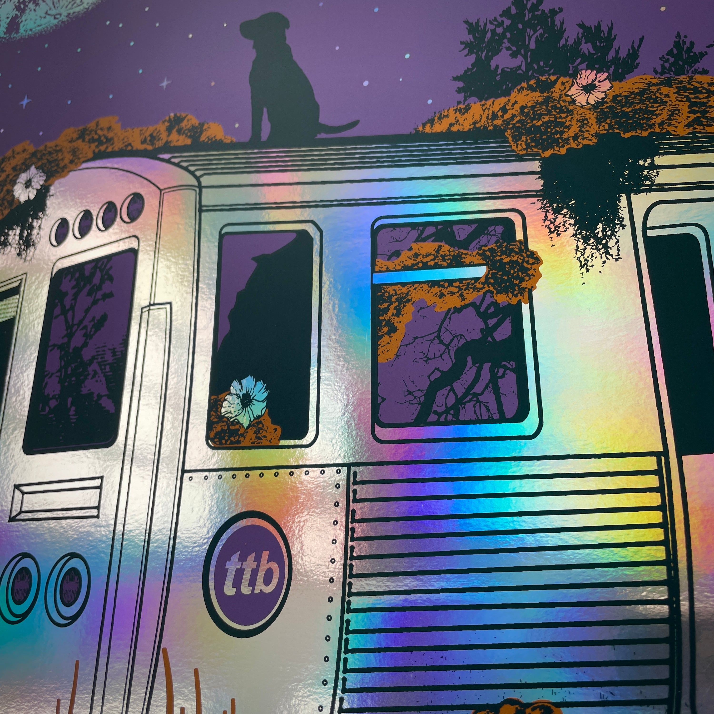 Tedeschi Trucks Band - Chicago 2023 (Purple. Rainbow Foil)
