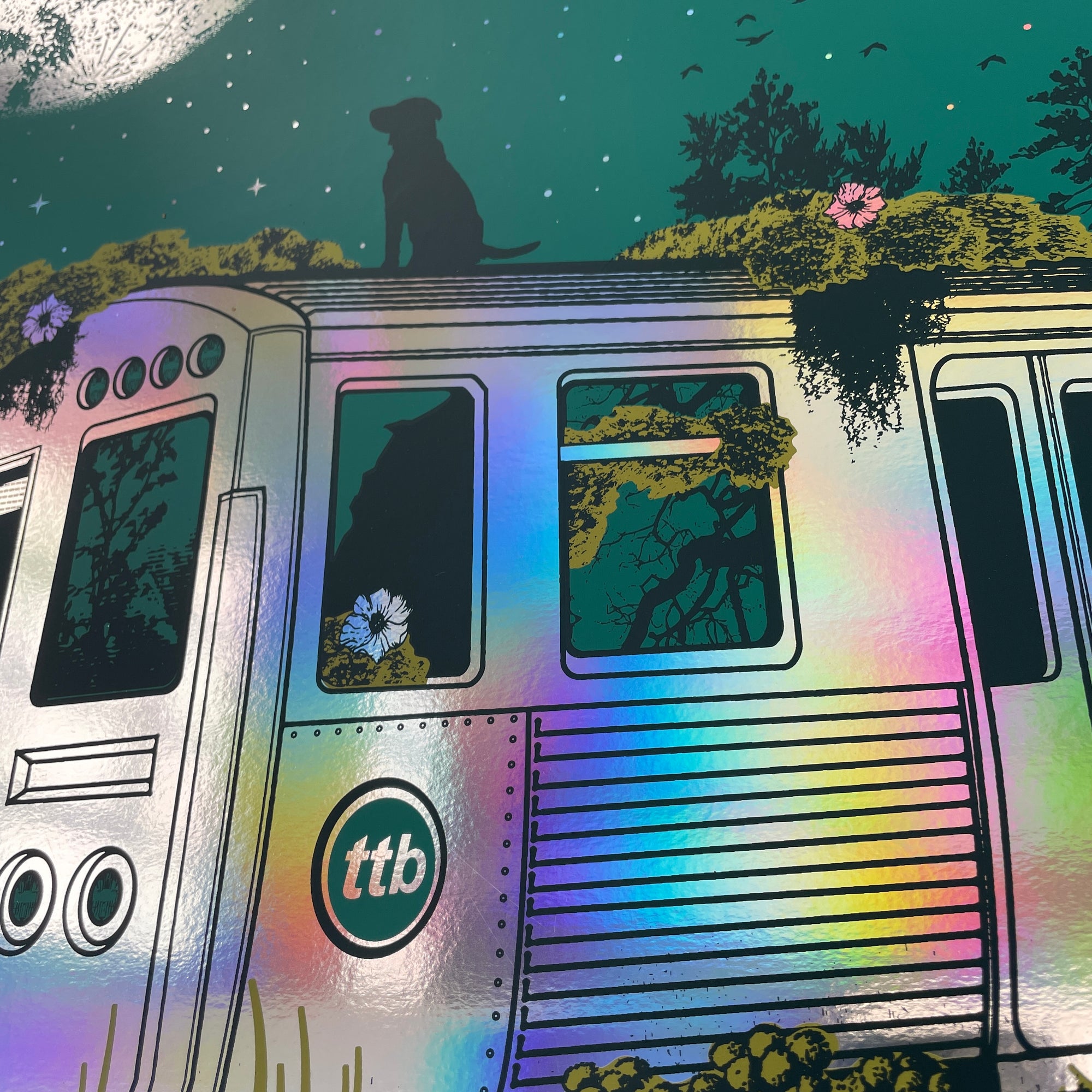 Tedeschi Trucks Band - Chicago 2023 (Green. Rainbow Foil)