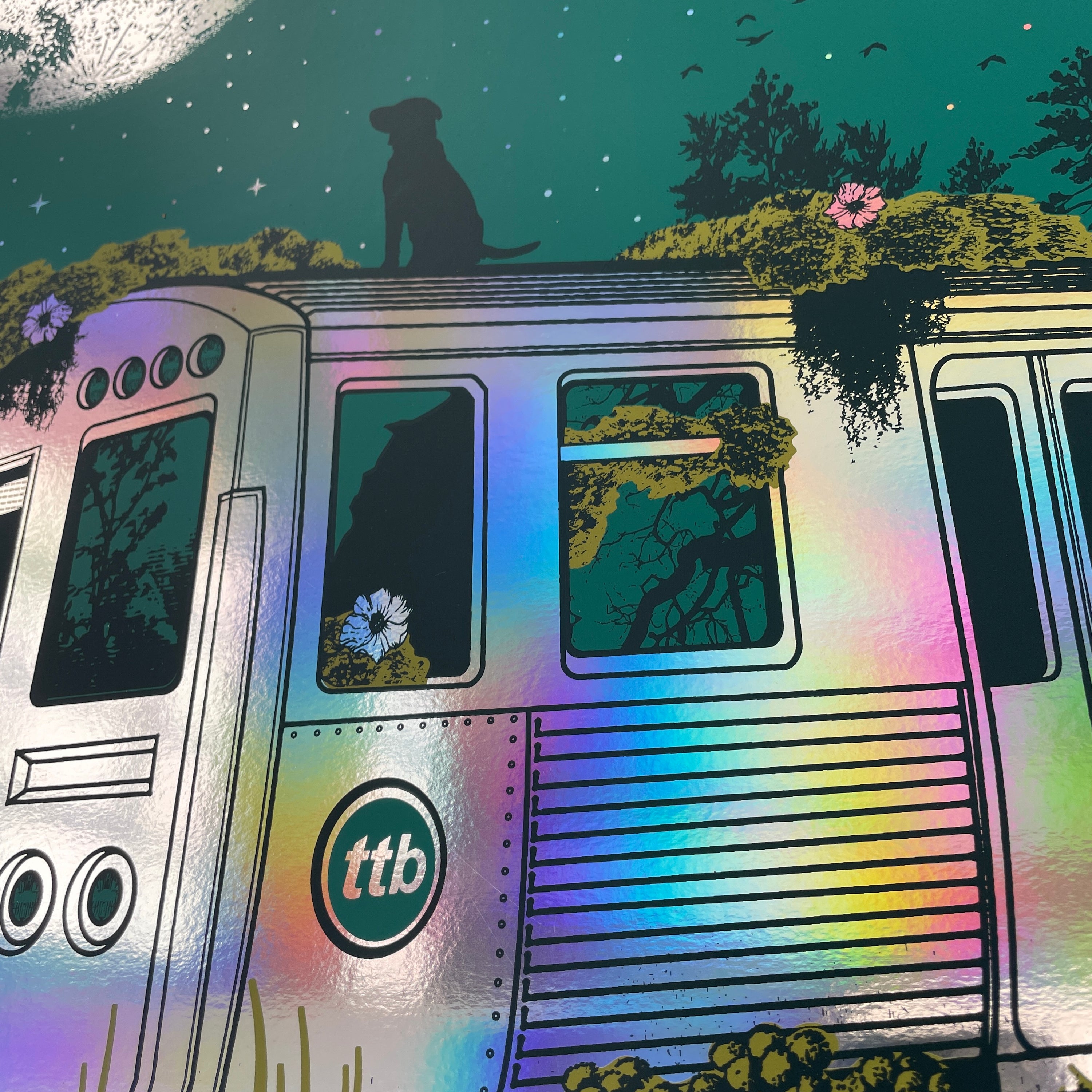 Tedeschi Trucks Band - Chicago 2023 (Green. Rainbow Foil)